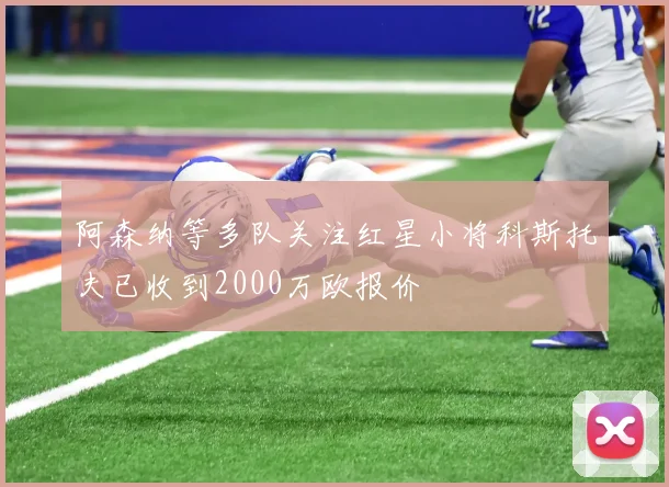 阿森纳等多队关注红星小将科斯托夫已收到2000万欧报价